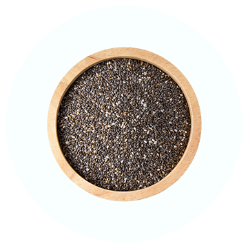 Seeds