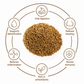 Carom Seeds | Ajwain
