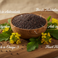 Mustard Fine | Sarson