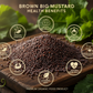 Mustard Big | Sarson