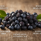 Dried Blue Berries