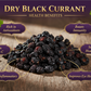 Black Current | Karant