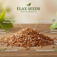 Flax Seeds Regular | Alsi Beej | Avise Ginjalu