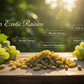 Exotic Raisins | Kishmish | Draksha