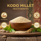 Kodo Millet | Kodo Baajra | Arikaalu