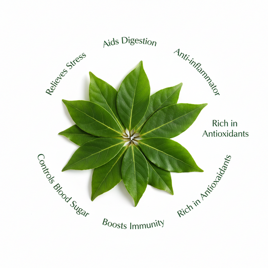Bay Leaf | Biryani Leaf | Tejpata