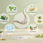 Sweet Fennel Seeds | Saunf