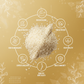 White Sesame Seeds | Till